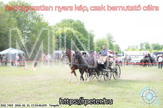 Mintakép 20260531-754