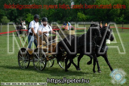 20260531-100648-DSC_7538.jpg