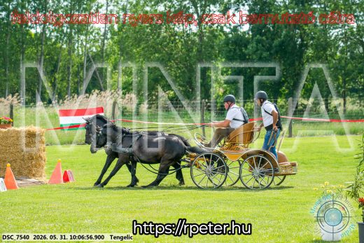 Mintakép 20260531-759