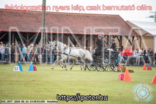 Mintakép 20260614-70