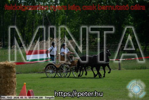 Mintakép 20260531-761
