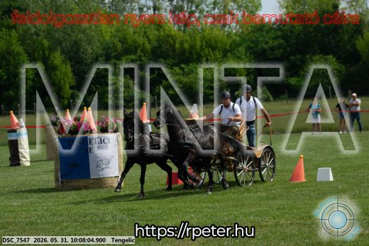 Mintakép 20260531-766