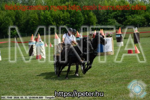Mintakép 20260531-767