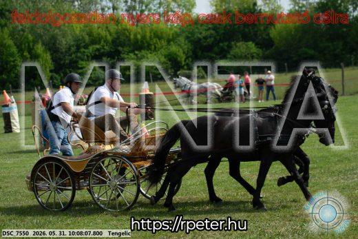 Mintakép 20260531-769