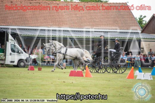 Mintakép 20260614-71