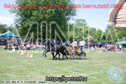 Mintakép 20260531-773