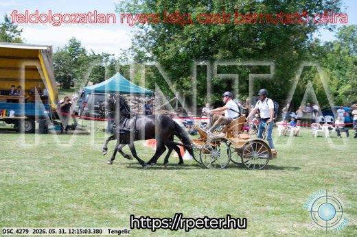 Mintakép 20260531-774