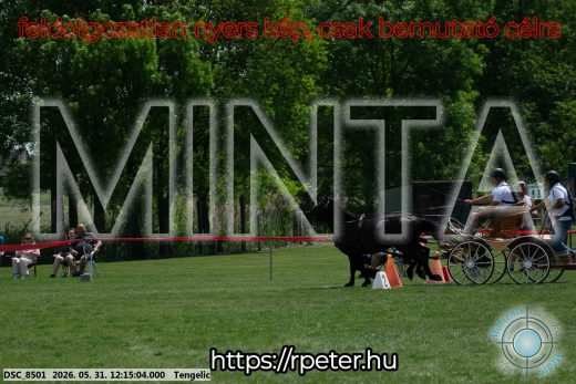 Mintakép 20260531-775