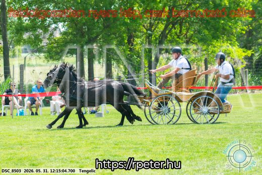 Mintakép 20260531-776