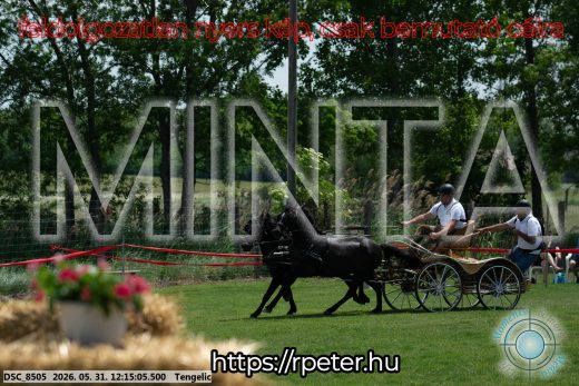 Mintakép 20260531-778