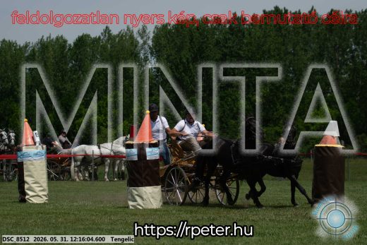 Mintakép 20260531-787