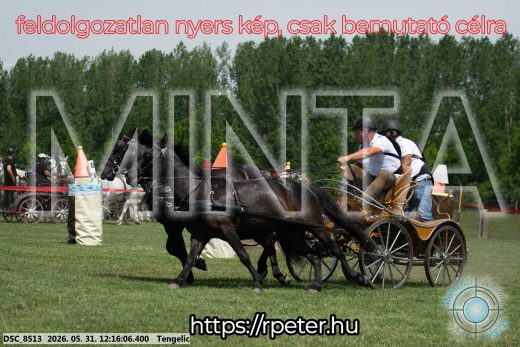 Mintakép 20260531-788
