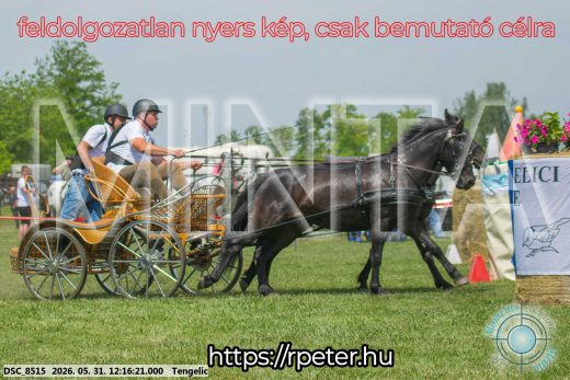 Mintakép 20260531-790