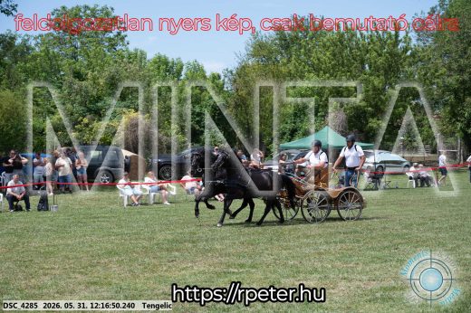 Mintakép 20260531-793