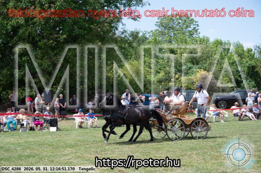 Mintakép 20260531-794