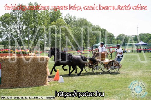Mintakép 20260531-795