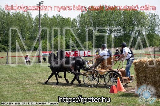 Mintakép 20260531-796