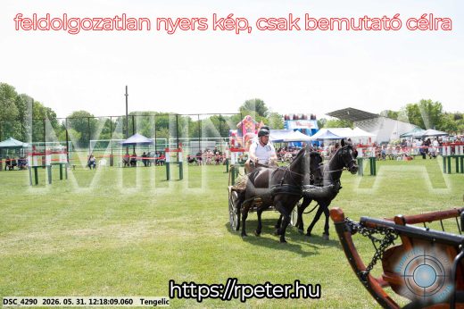 Mintakép 20260531-799