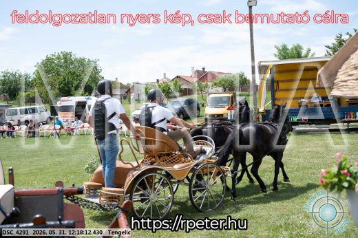 Mintakép 20260531-800
