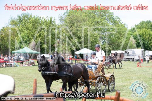 Mintakép 20260531-801