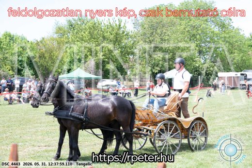 Mintakép 20260531-802