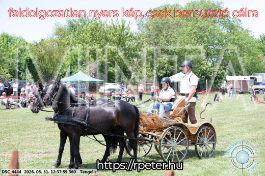 Mintakép 20260531-803