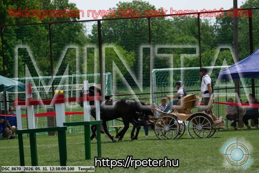 Mintakép 20260531-805