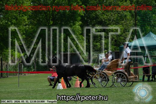 Mintakép 20260531-806