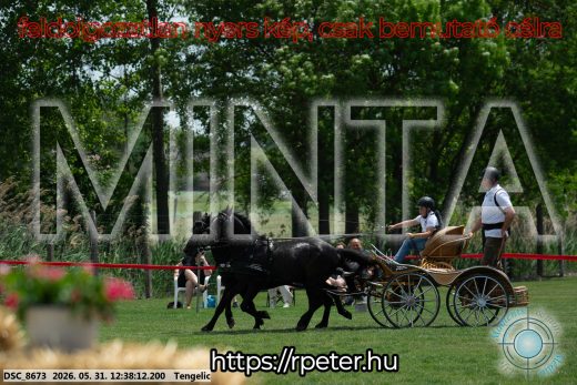 Mintakép 20260531-808