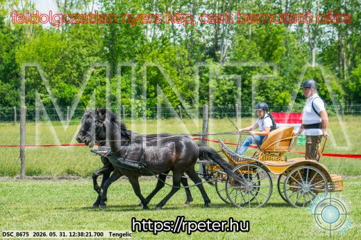 Mintakép 20260531-810