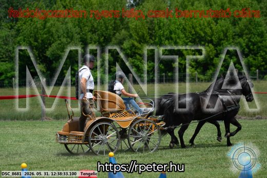 Mintakép 20260531-816