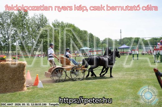 Mintakép 20260531-820