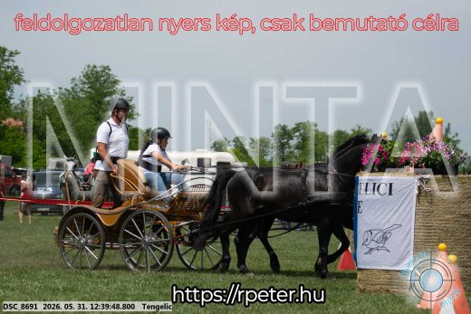Mintakép 20260531-830