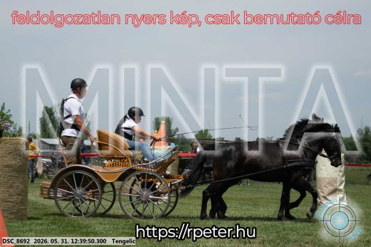 Mintakép 20260531-831
