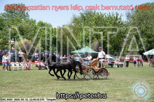 Mintakép 20260531-838