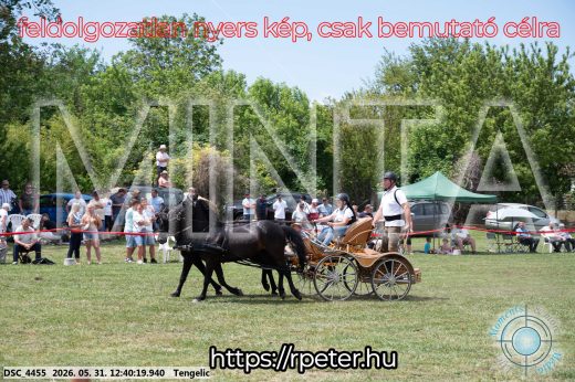 Mintakép 20260531-839