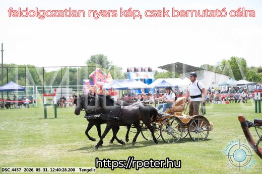 Mintakép 20260531-841