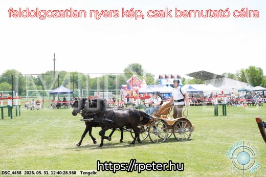 Mintakép 20260531-842