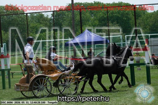 Mintakép 20260531-843