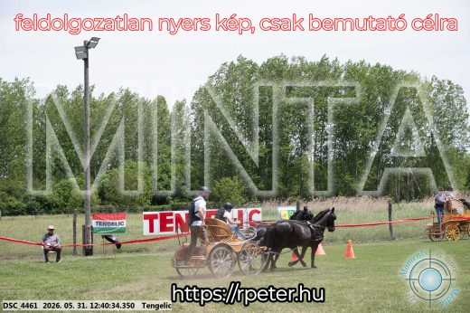 Mintakép 20260531-846