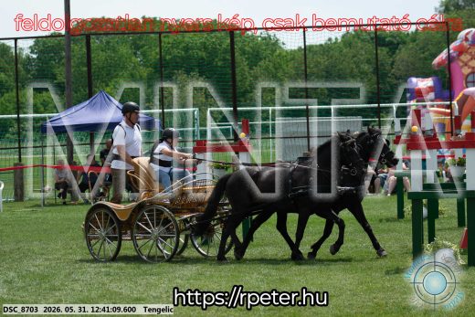 Mintakép 20260531-853