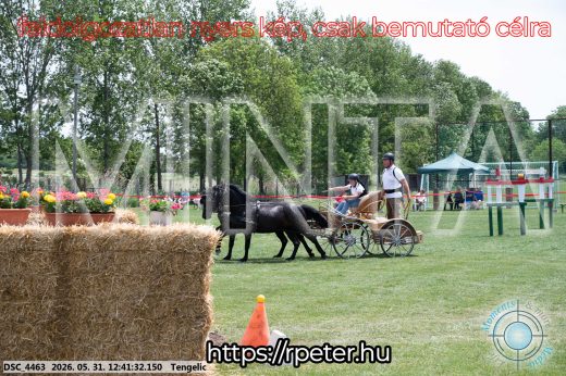 Mintakép 20260531-855