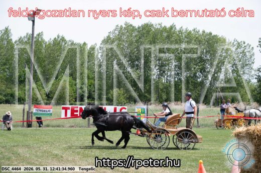 Mintakép 20260531-856