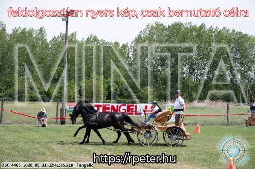Mintakép 20260531-857