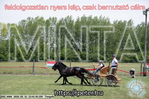 Mintakép 20260531-858