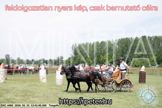 Mintakép 20260531-860