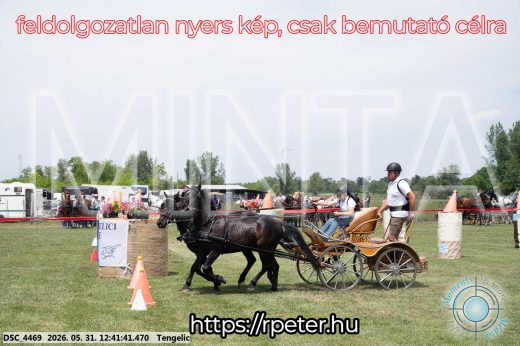 Mintakép 20260531-861