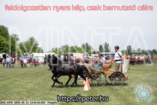 Mintakép 20260531-862