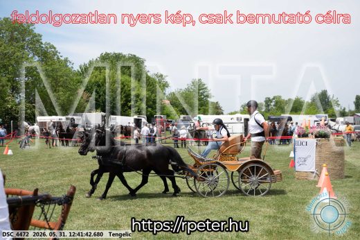Mintakép 20260531-864