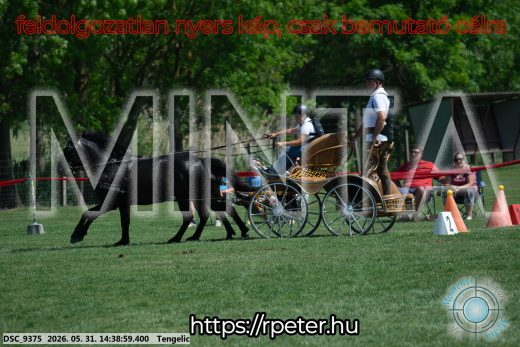 Mintakép 20260531-867